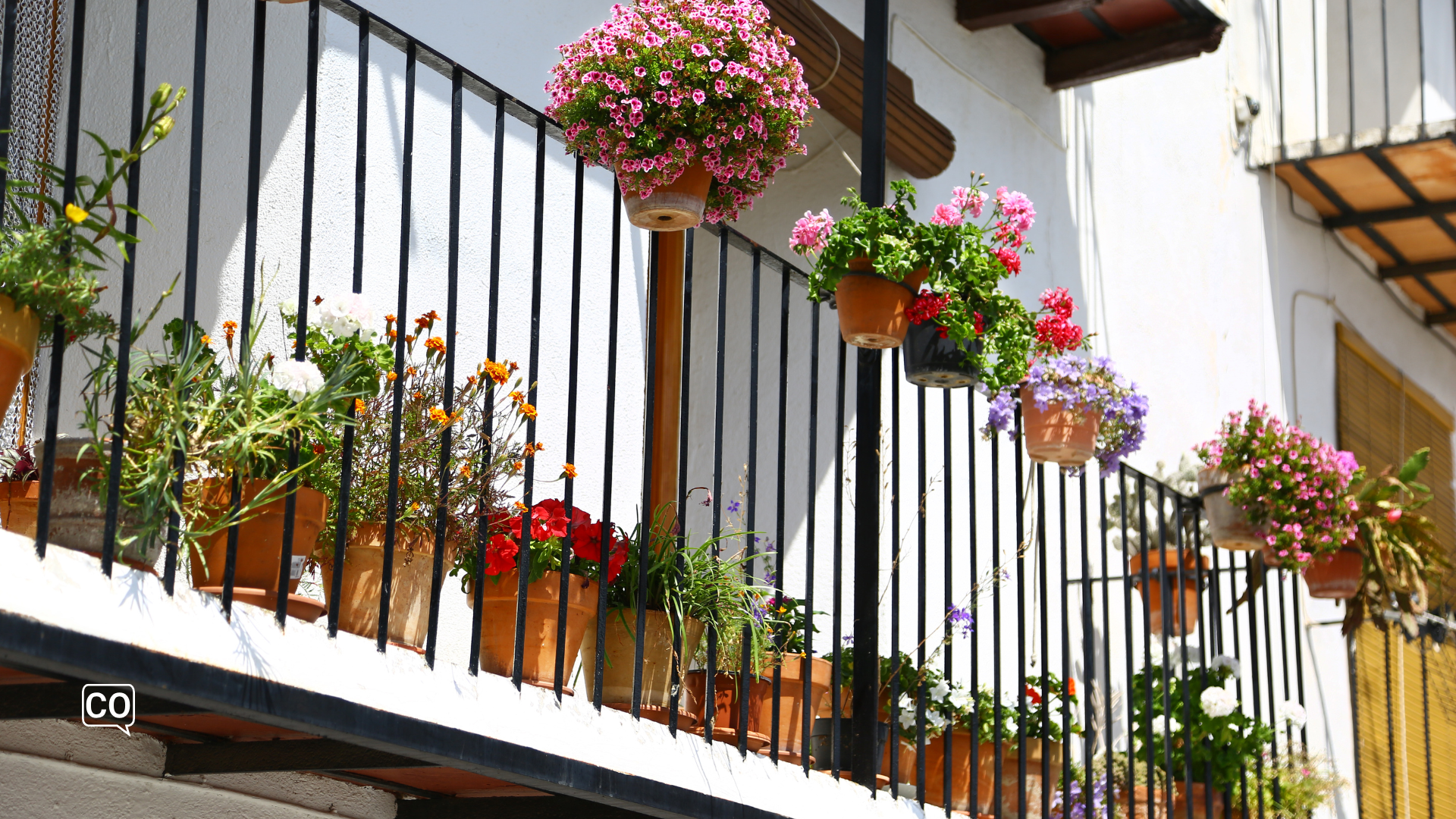 il garofano su un balcone spagnolo