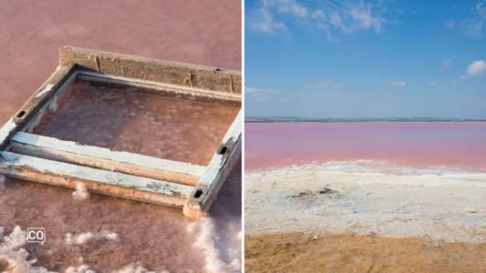 A2.11.4 Le saline di Torrevieja