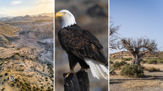 A2.12.4 Il deserto di Tabernas: l'Hollywood spagnolo