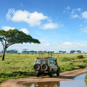  El safari: Il safari (Spagnolo)